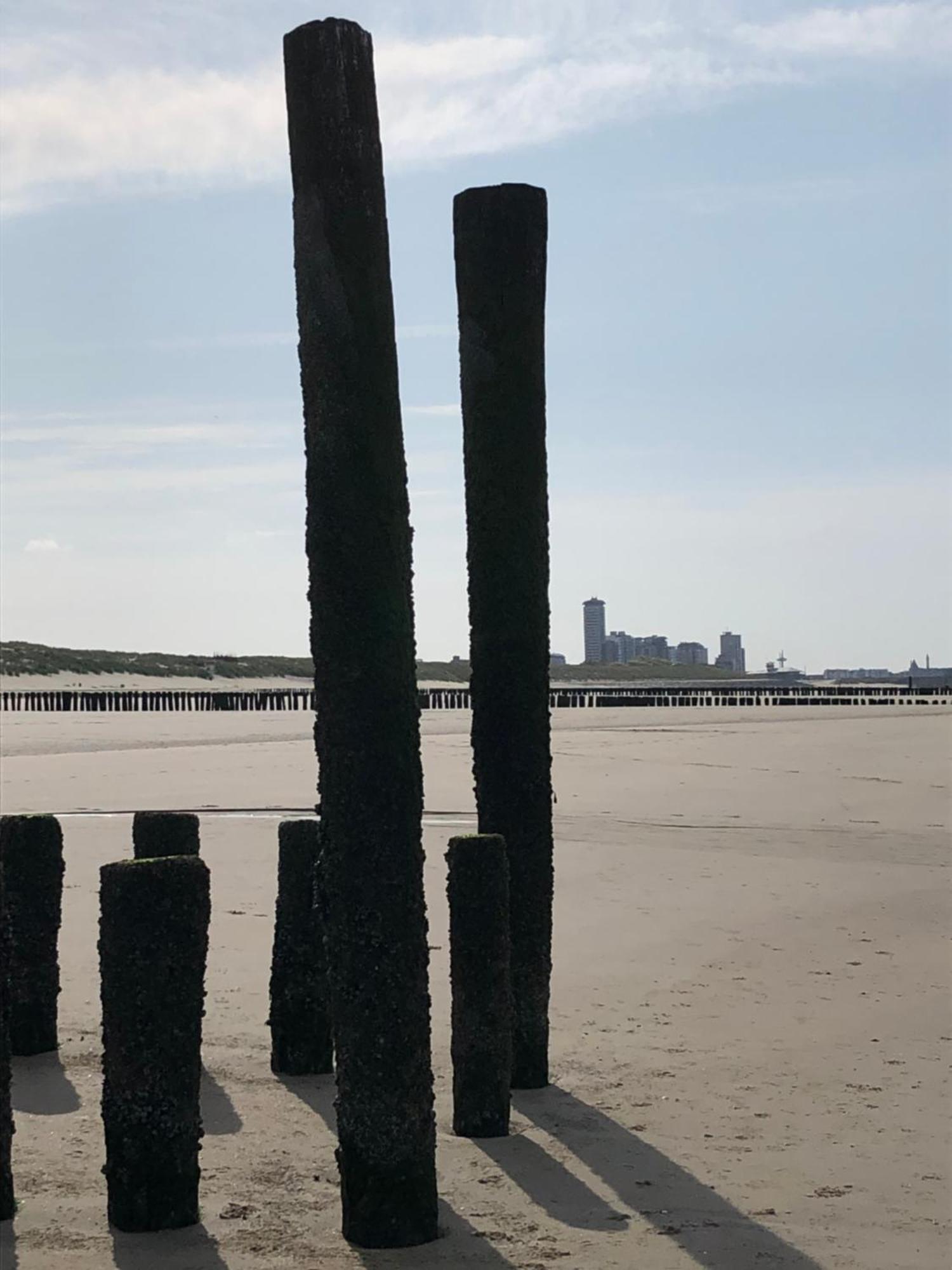 Appartement Zeeuws Genoegen Vlissingen Exteriör bild